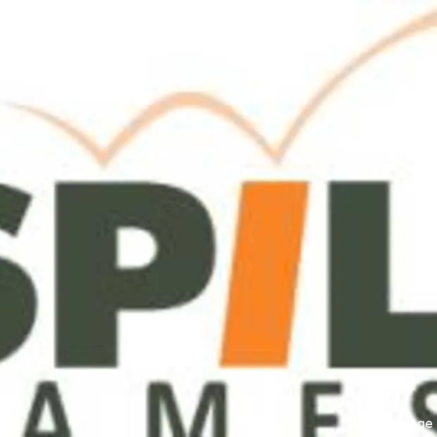 2010 jaaroverzicht van spil games