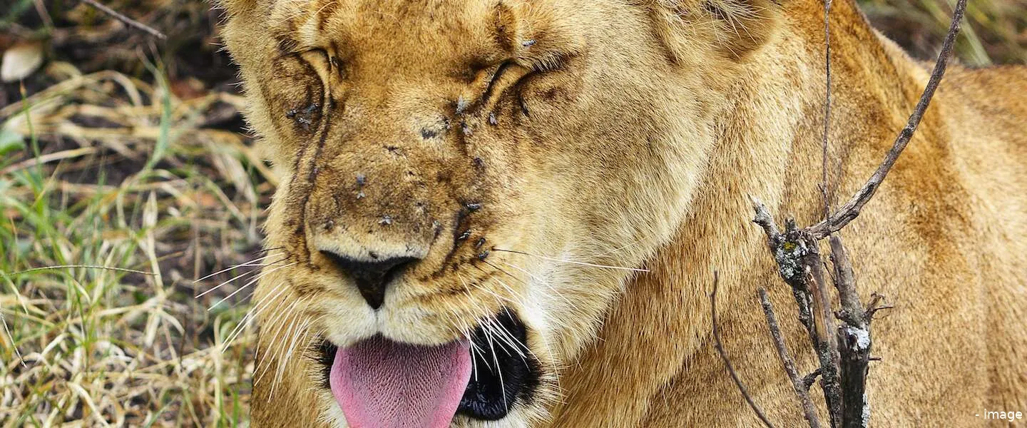 2020 instagram memes