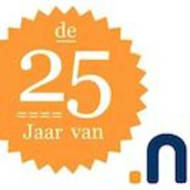 25 jaar nl domein in beeld gebracht