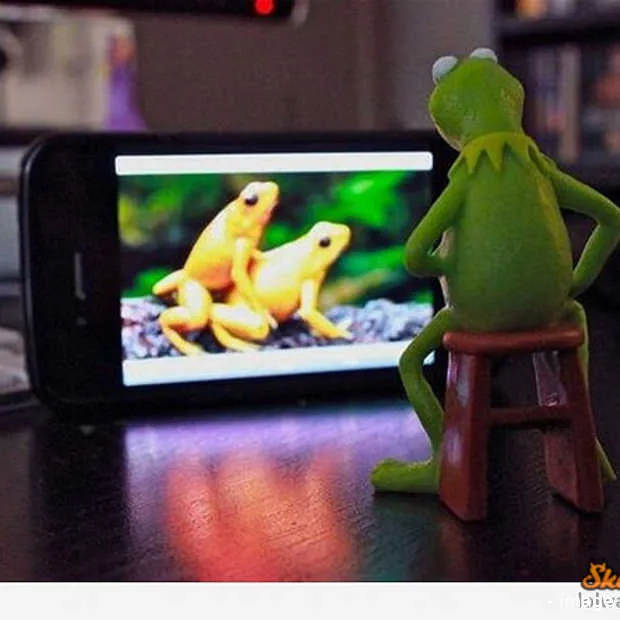 5 tips van wappzapp om dit weekend het r 1