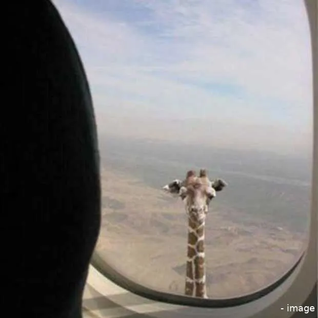 5 tips van wappzapp om dit weekend het r