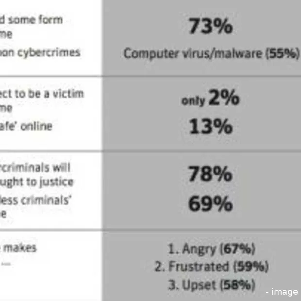 65 van alle internetgebruikers getroffen