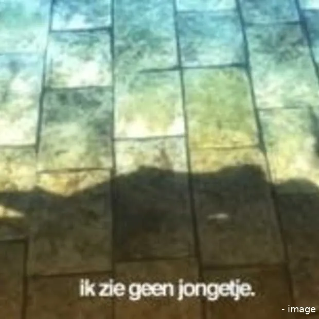 a shadow s tale mist perspectief