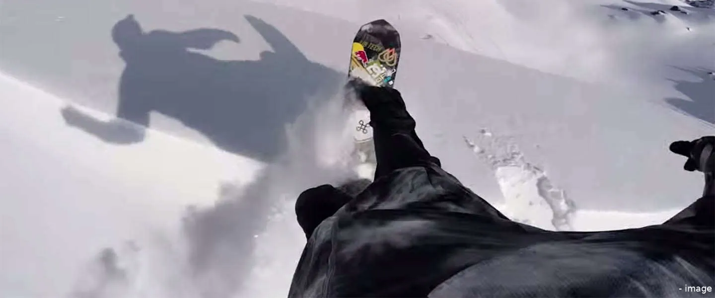 action camera meerkat