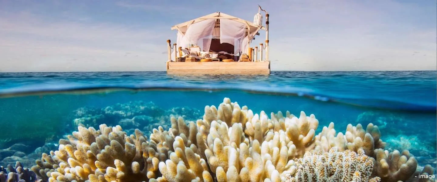 airbnb great barrier reef droomplek
