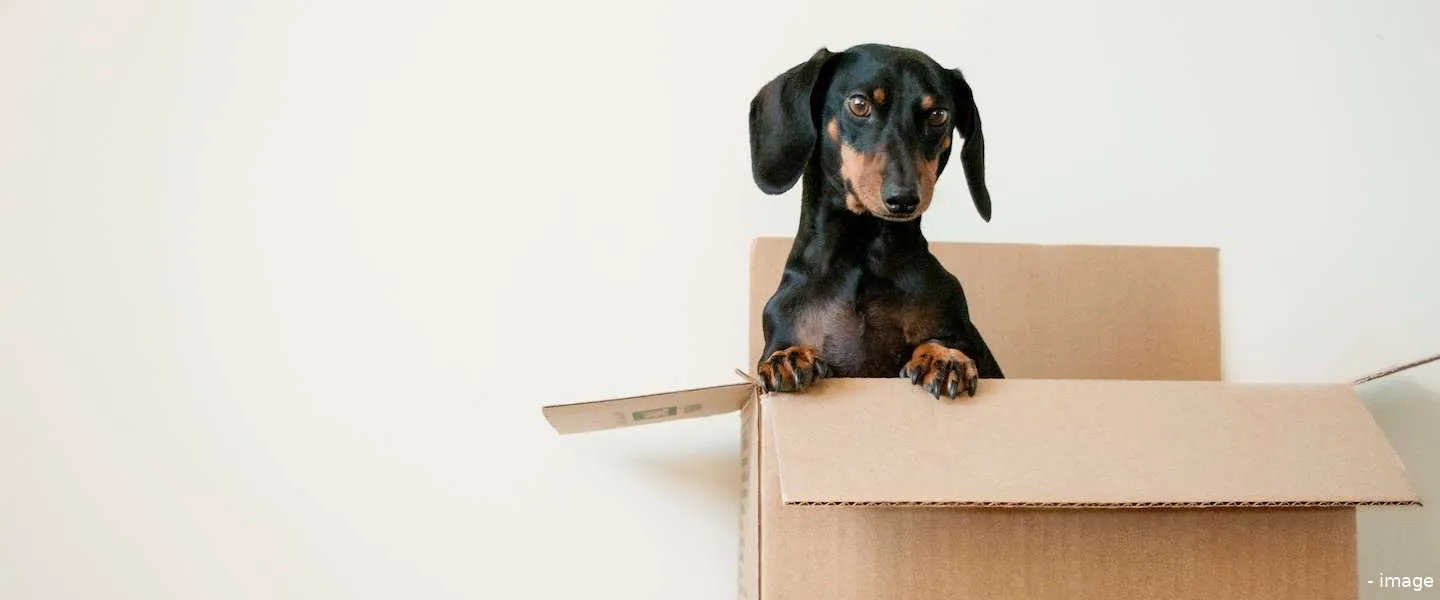 aliexpress klachten regels retour