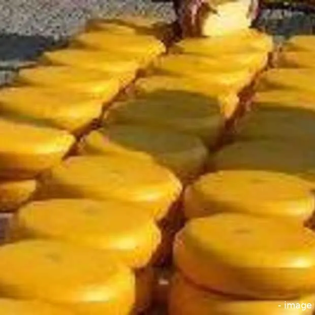 alkmaar heeft inhoudelijk de beste site