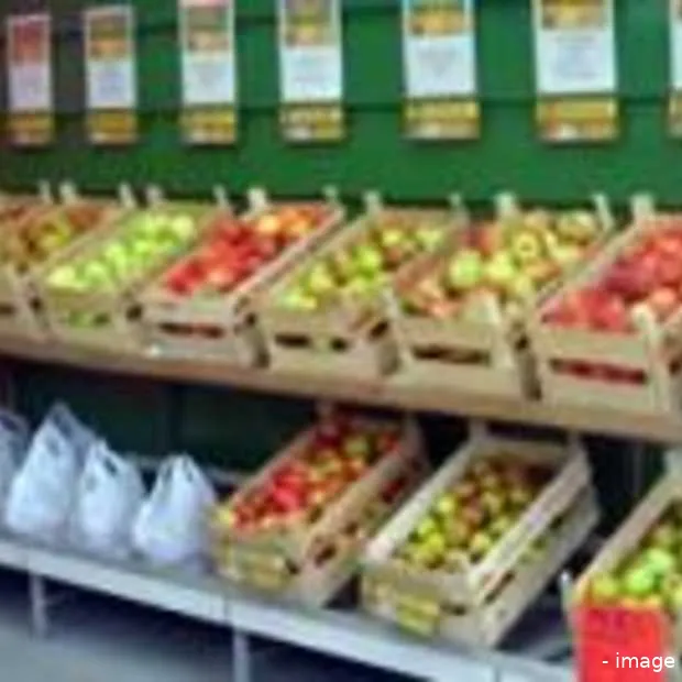 app stores geen toekomst