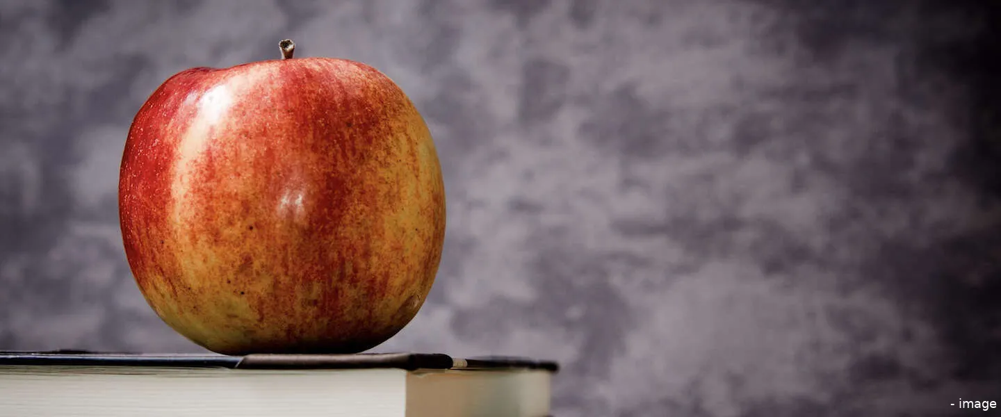 apple searchengine 1