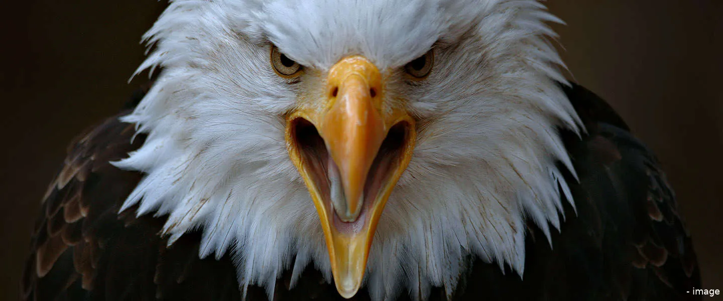 arend national geographic