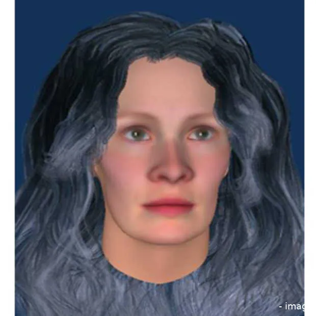 avatar therapie in de strijd tegen stemm