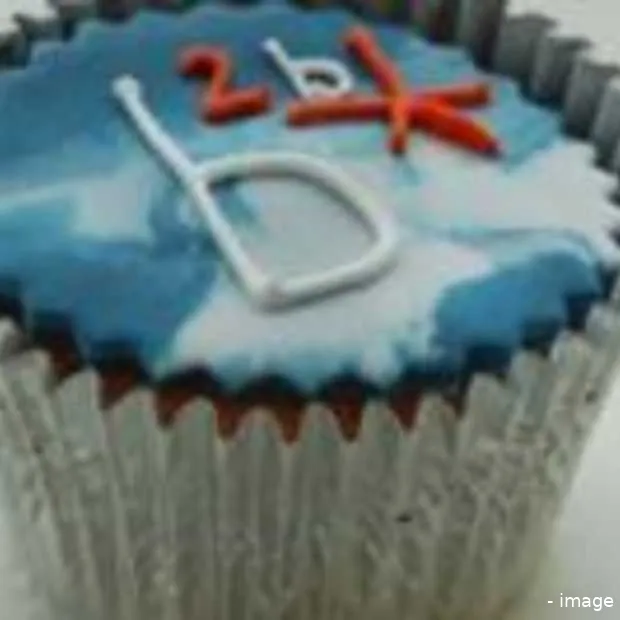 b2b website onderzoek 2008