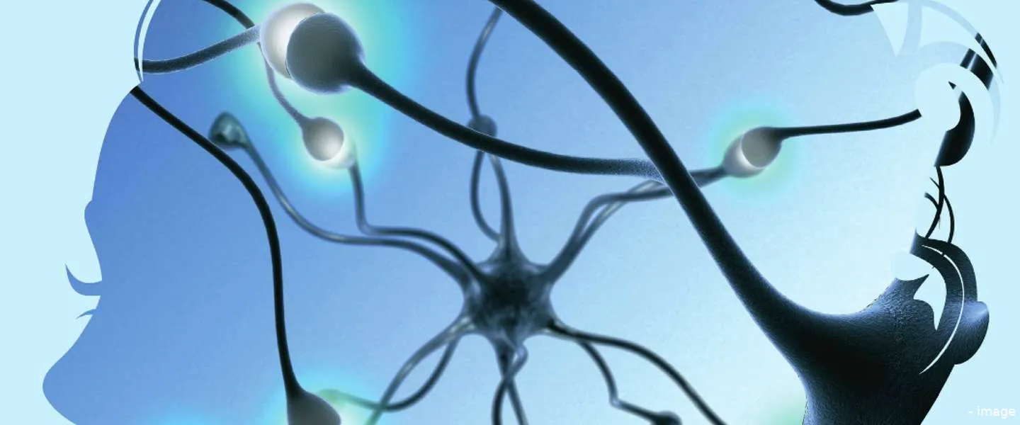 basisboek neuromarketing