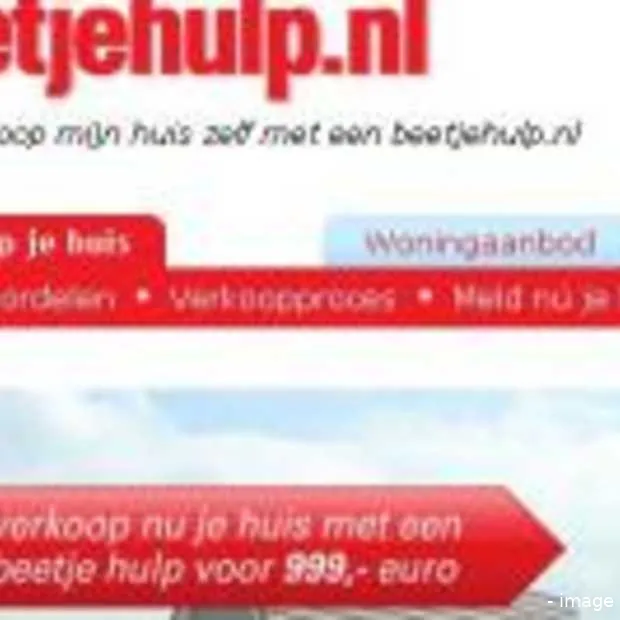 beetjehulp nl versus traditionele intern