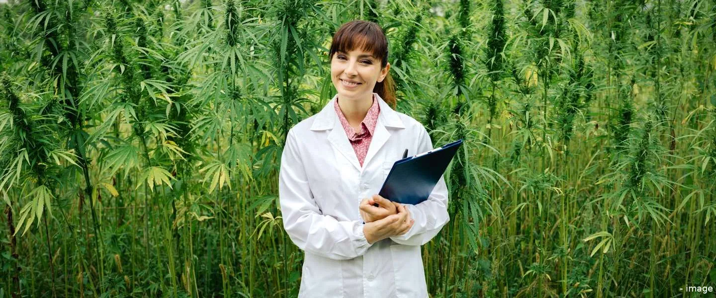 ben ik stoned app onderzoek