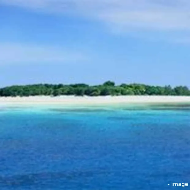 ben krijgt de best job in the world