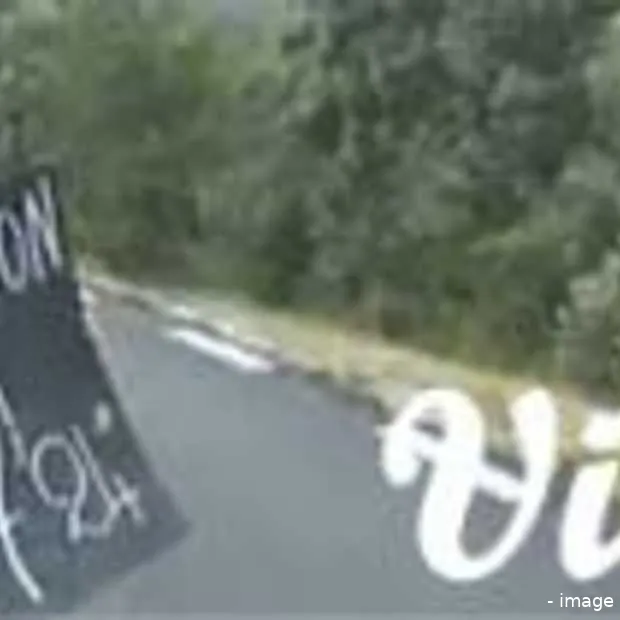 beste aanpak voor viral video campagnes