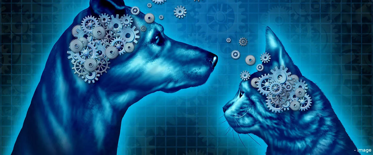 bewustzijnshypothese art