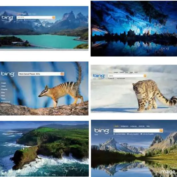 bing claimt de beste zoekmachine voor il