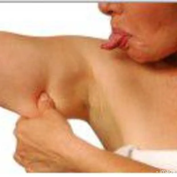 bingo site op zoek naar bingo wings