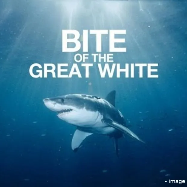 bite of the great white shark week remix