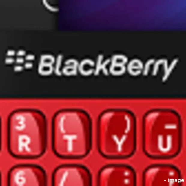 blackberry mogelijk in de verkoop