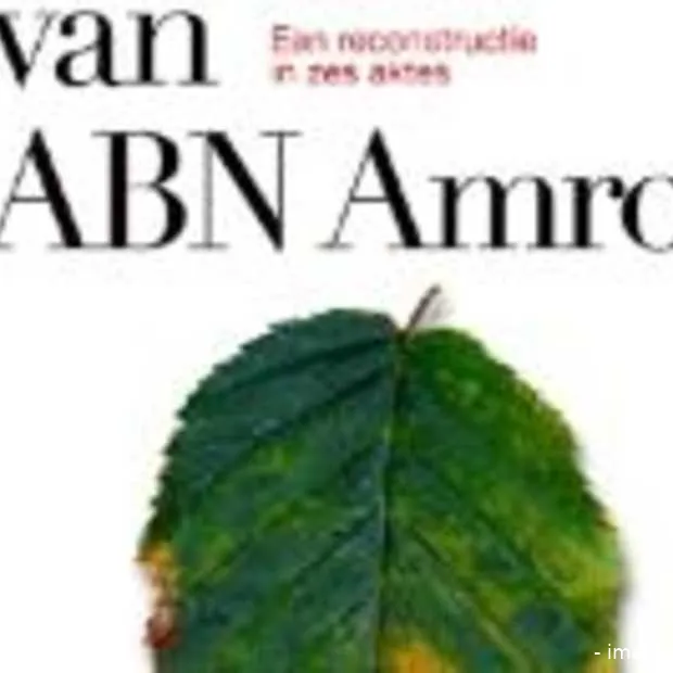 boek de val van abn amro