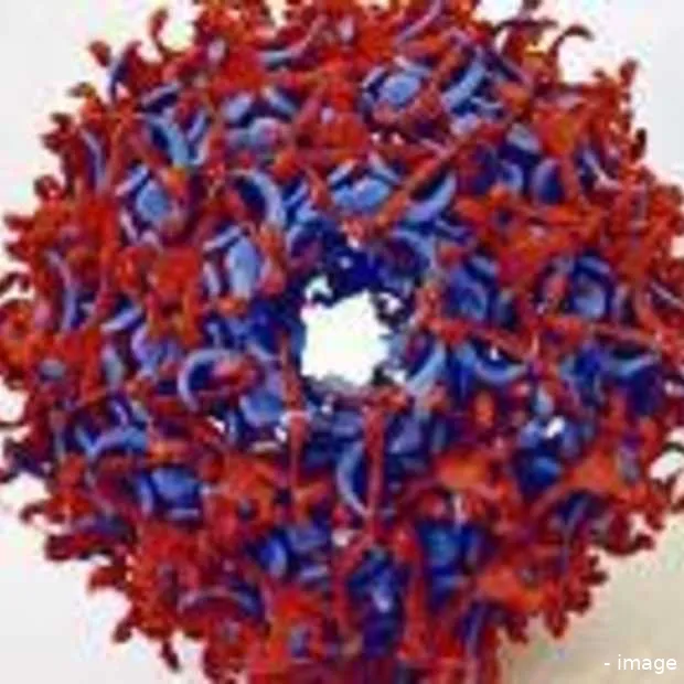 boek een hotel en krijg een virus