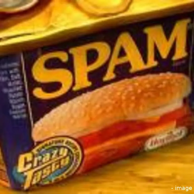 boete voor versturen van spam via hyves