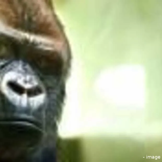 bokitoproof is ons woord van het jaar