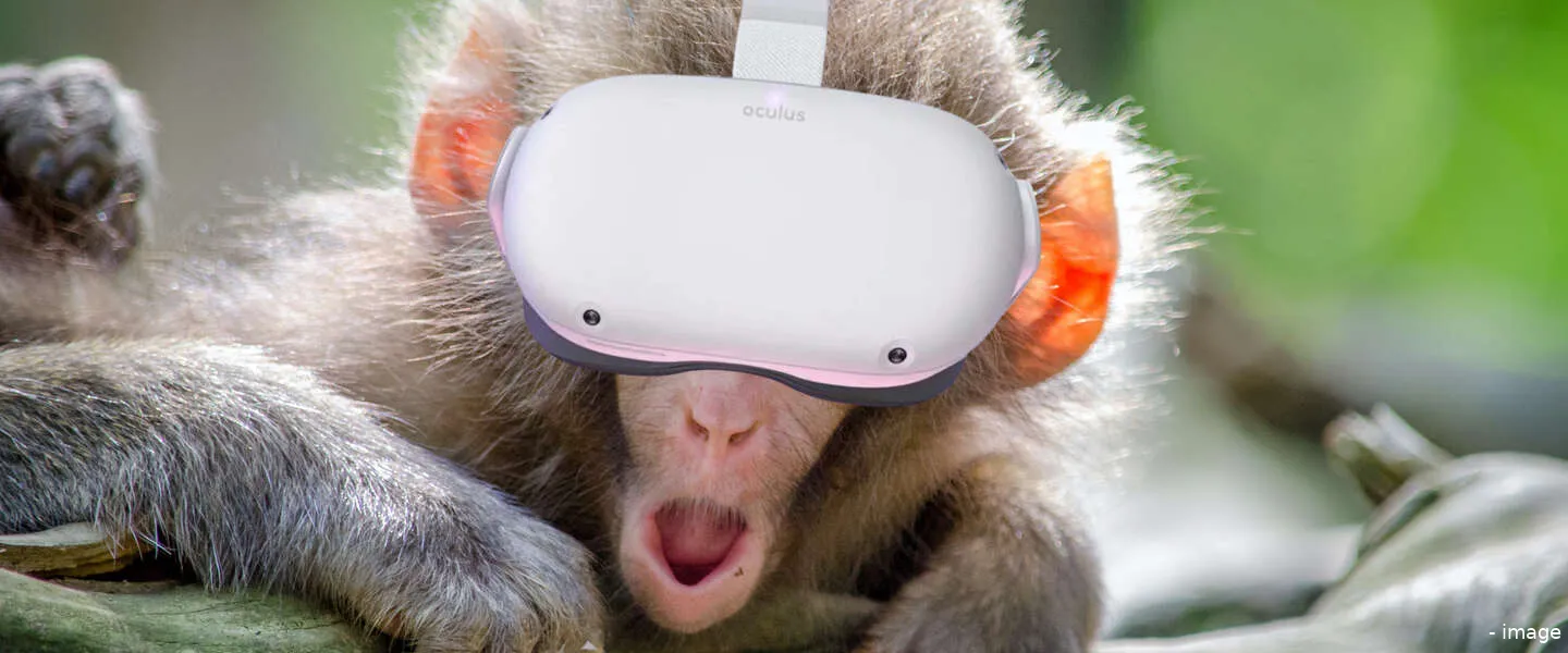 bored ape yacht club metaverse