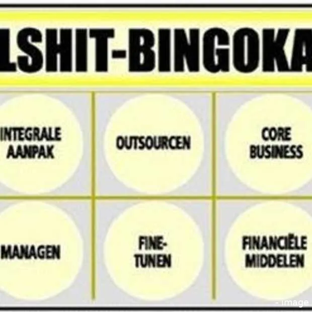 bullshit en buzzword bingo 2 0