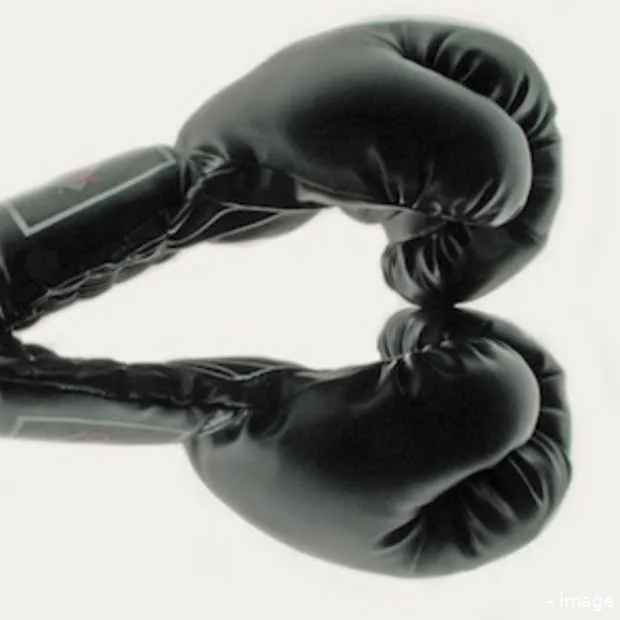 bush wint wikipedia wars