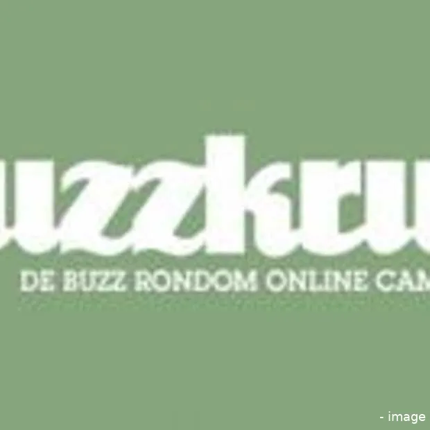 buzzkruit verzamelt online ek campagnes