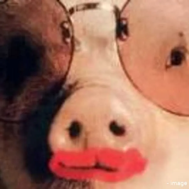 campagne niet gesteund door de europese