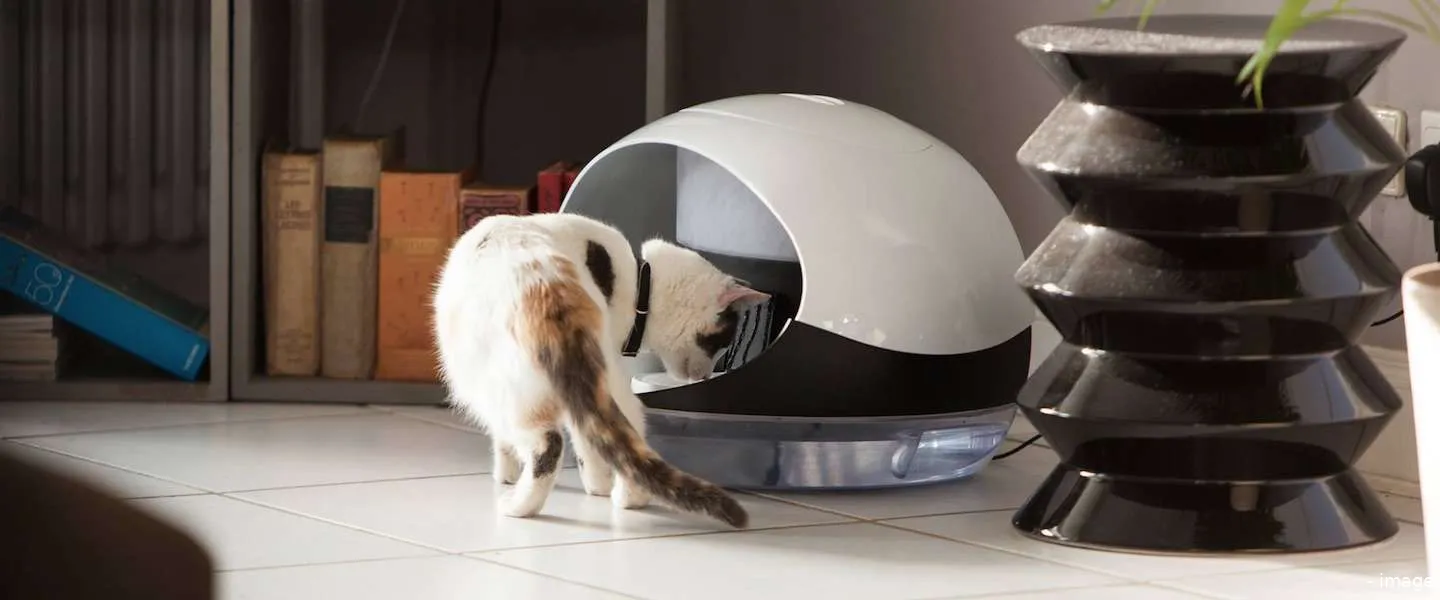 catspad high tech katten eten geven