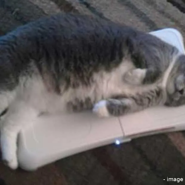 charts week 2 gaming voornemens