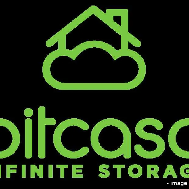 clouddienst bitcasa komt naar europa