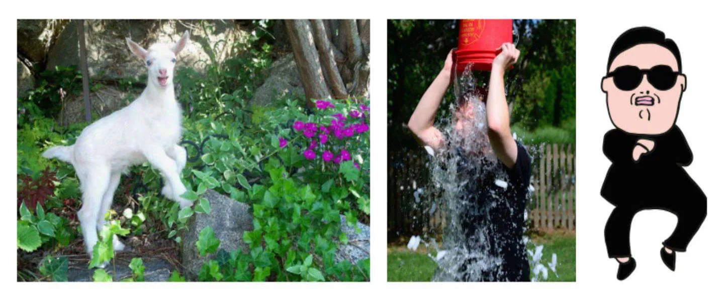 collage social media