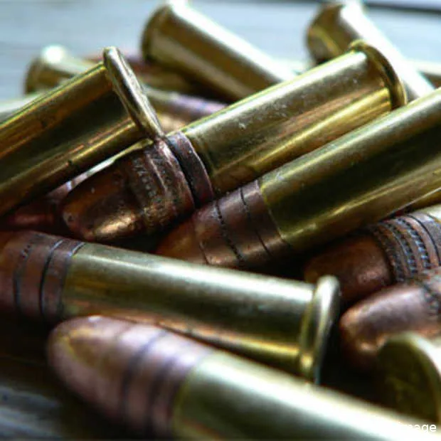 column bulletstorm controversy creates c