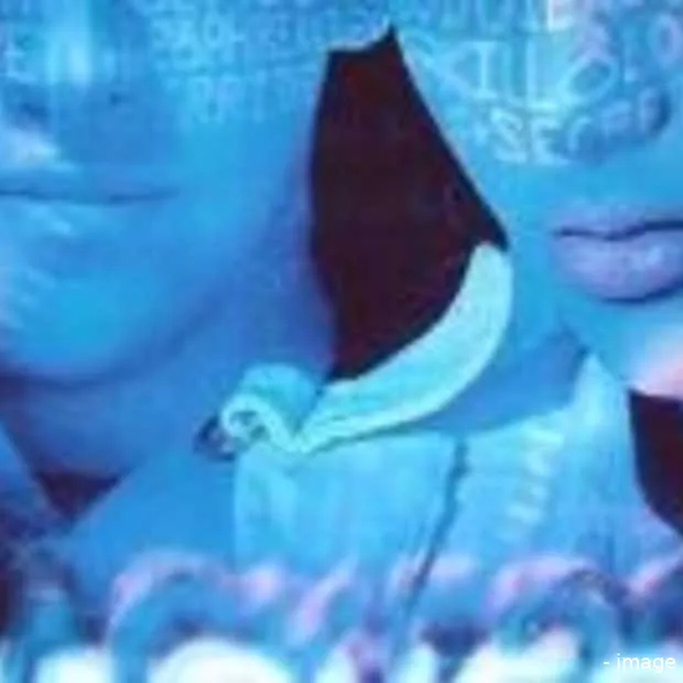 consument wil onzichtbare beveiligingsso