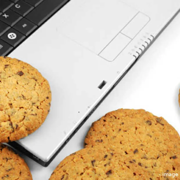 cookies wat te doen met de opt out consu