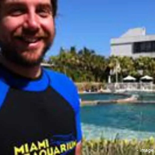 cowboys zwemmen met dolfijnen en krokodi