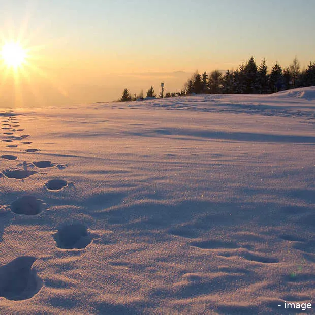 customer journeys slechts een kapstok vo