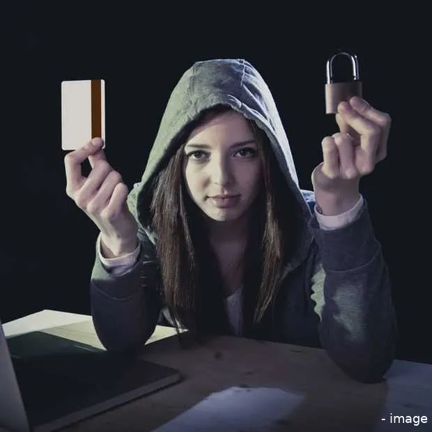 cybercrime nederlanders melding