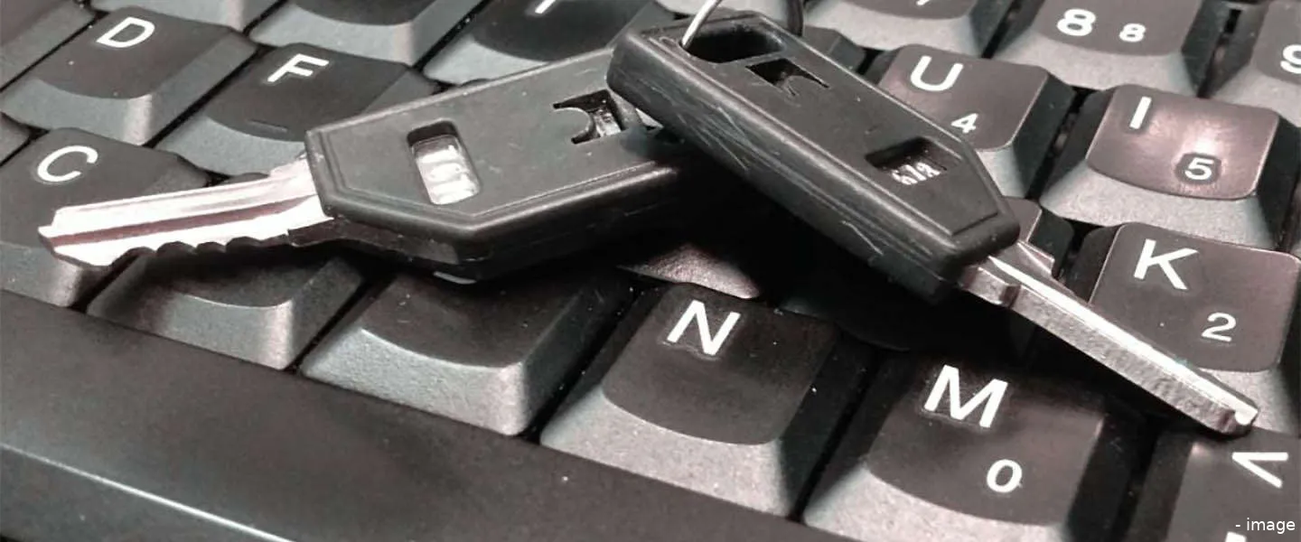 cybercrime nieuwe vorm ondernemen