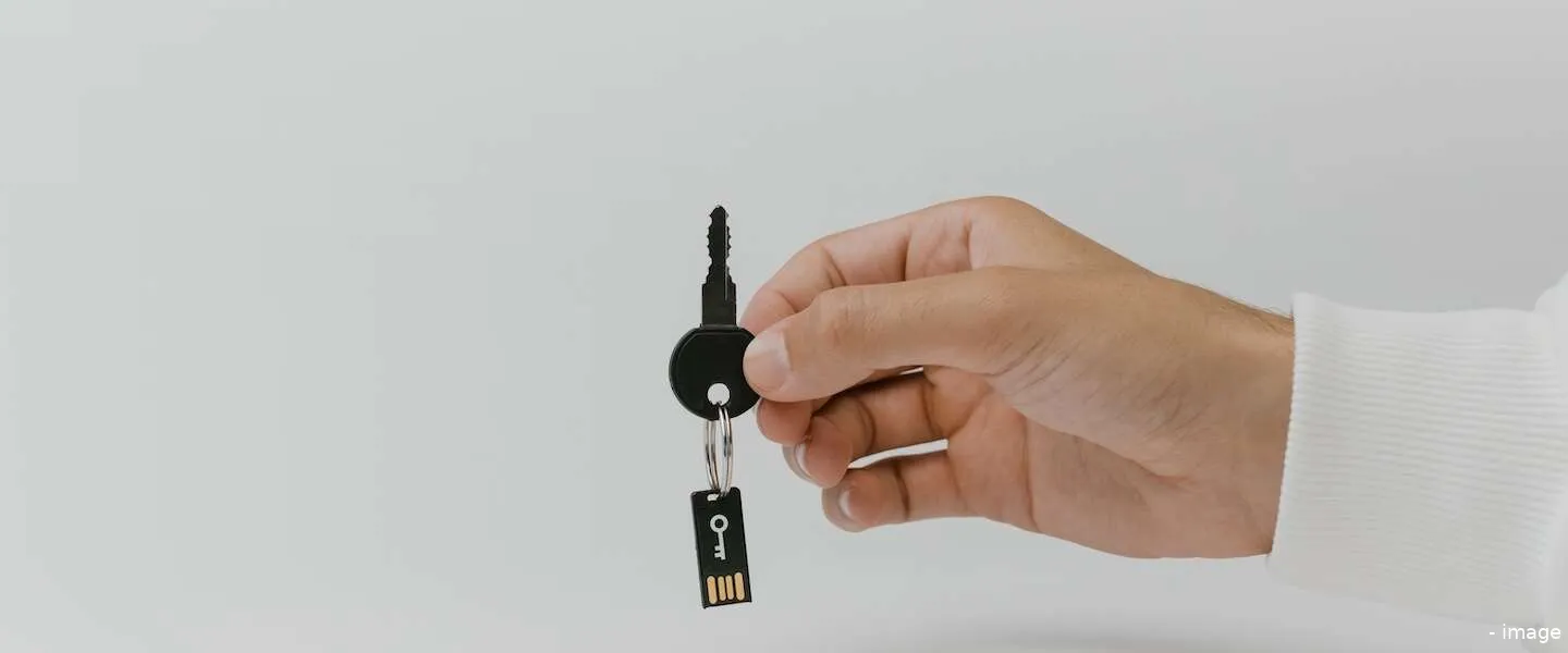 cybersecurity professionals personeel