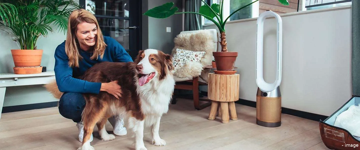 dafne schippers dyson onderzoek