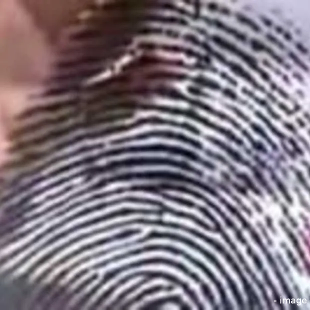 dag ilse hallo sanoma