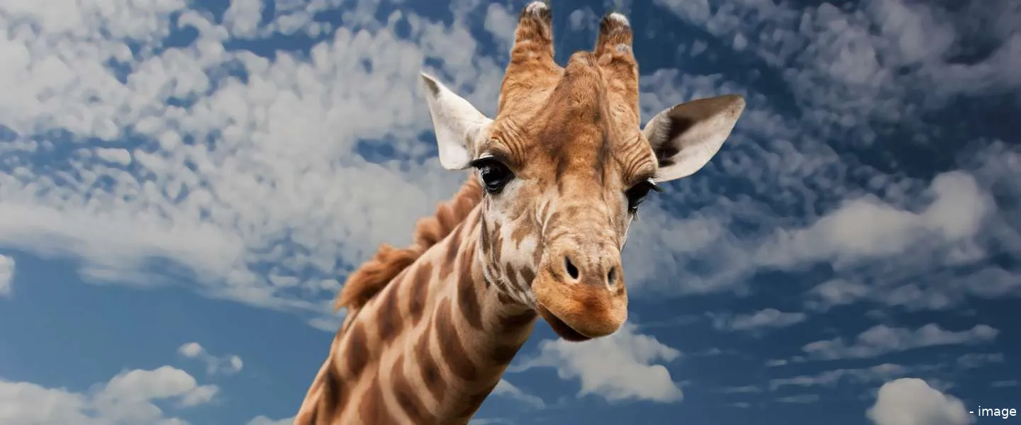 dag van de aarde 2019